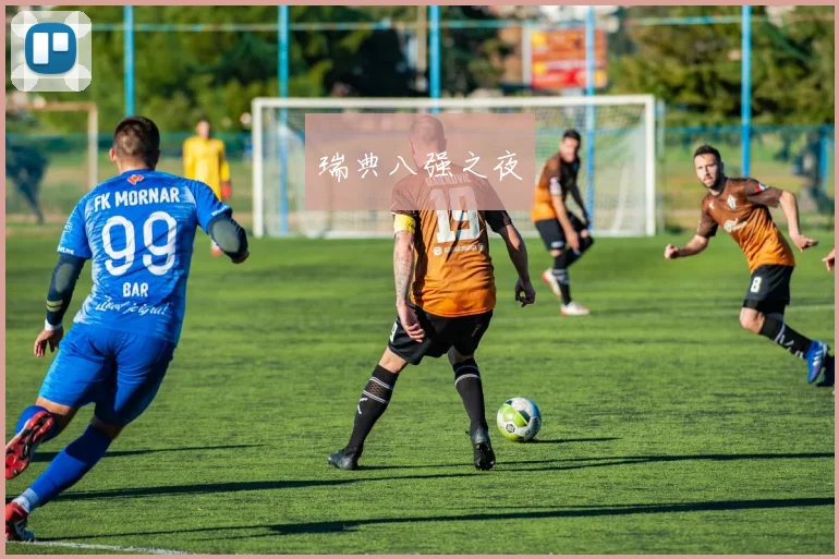 瑞典八强之夜