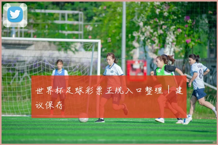 世界杯足球彩票正规入口整理｜建议保存