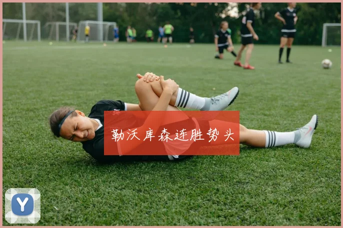 勒沃库森连胜势头